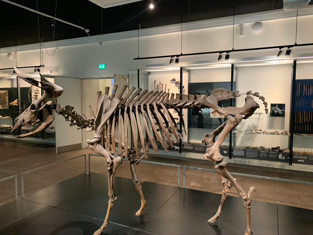 A Two-Day Trip to Copenhagen