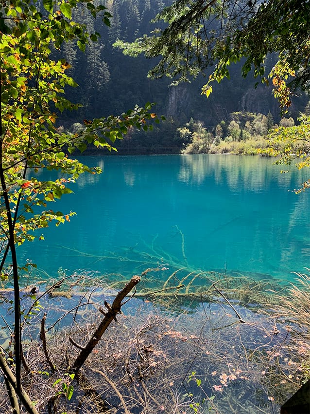 Strolling Through Jiuzhaigou