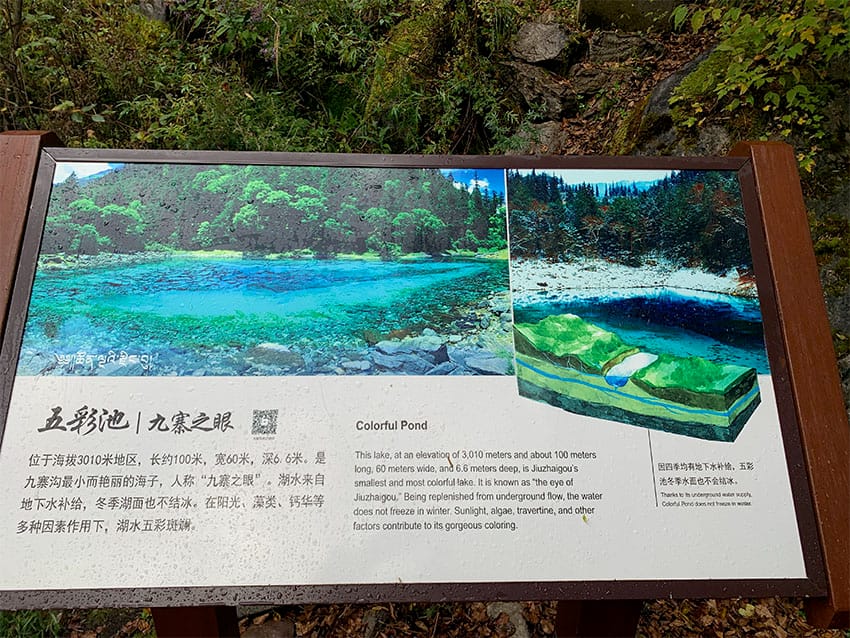 Strolling Through Jiuzhaigou