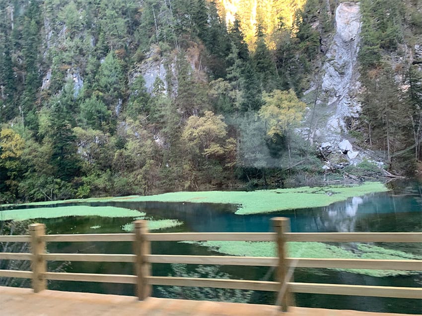 Strolling Through Jiuzhaigou