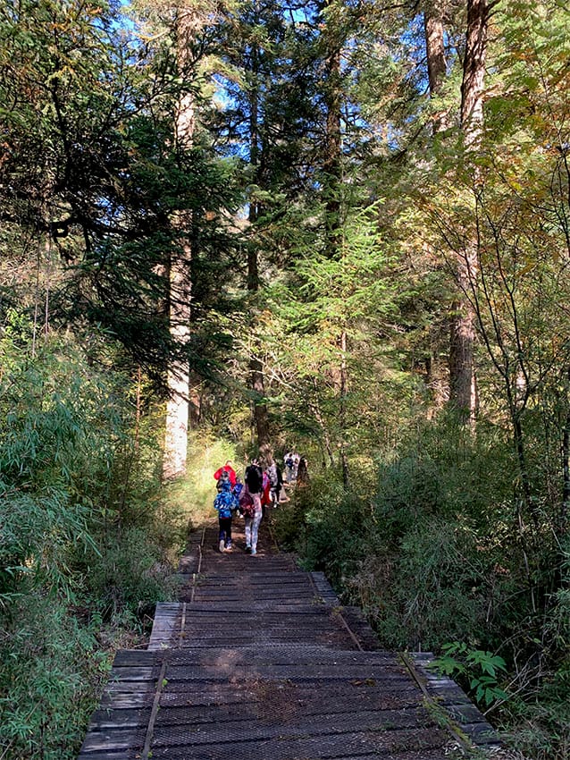 Strolling Through Jiuzhaigou
