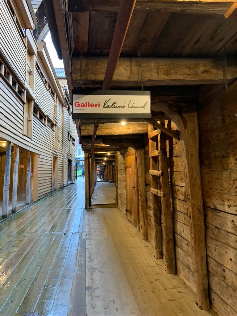 Norway 3-Day Trip (3)