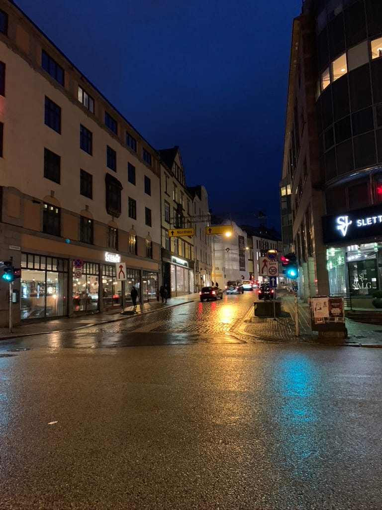 Norway 3-Day Trip (3)