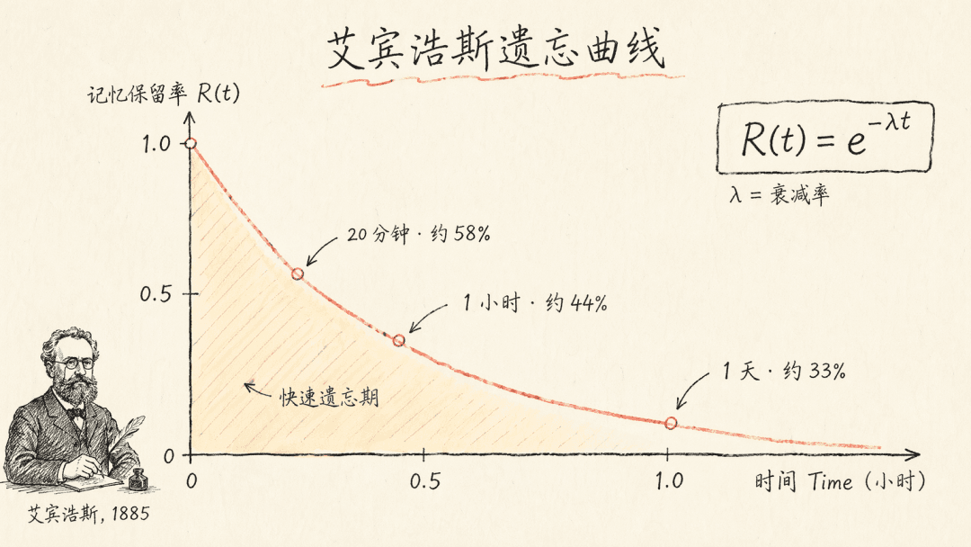 Diagram of the exponential decay model of the Ebbinghaus forgetting curve