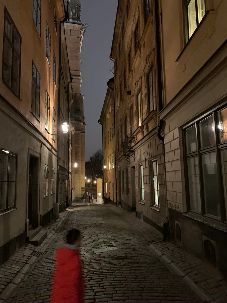 A Day Trip in Stockholm